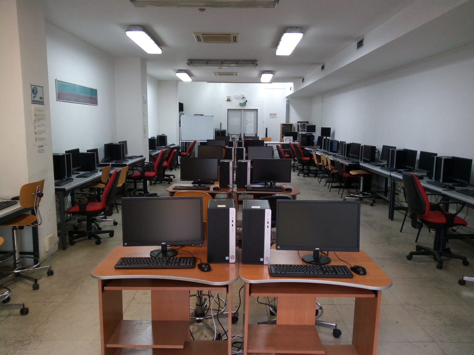 lab